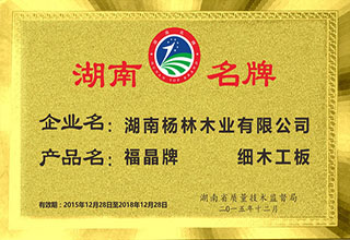 杨林木业获评湖南名牌企业