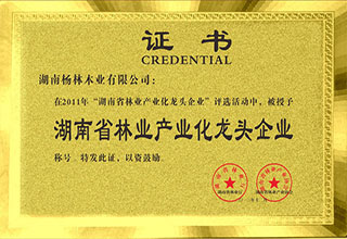 杨林木业获评湖南省林业产业化龙头企业