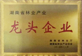 湖南省林业产业龙头企业