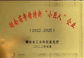 湖南省专精特新小巨人企业