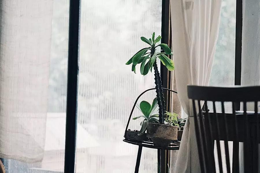 福晶板材 福晶板材