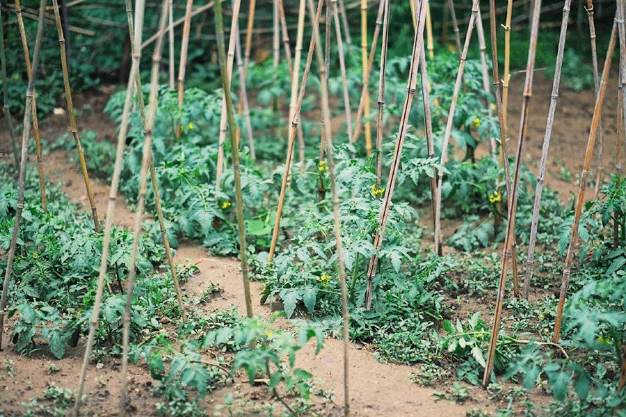 福晶板材 福晶板材