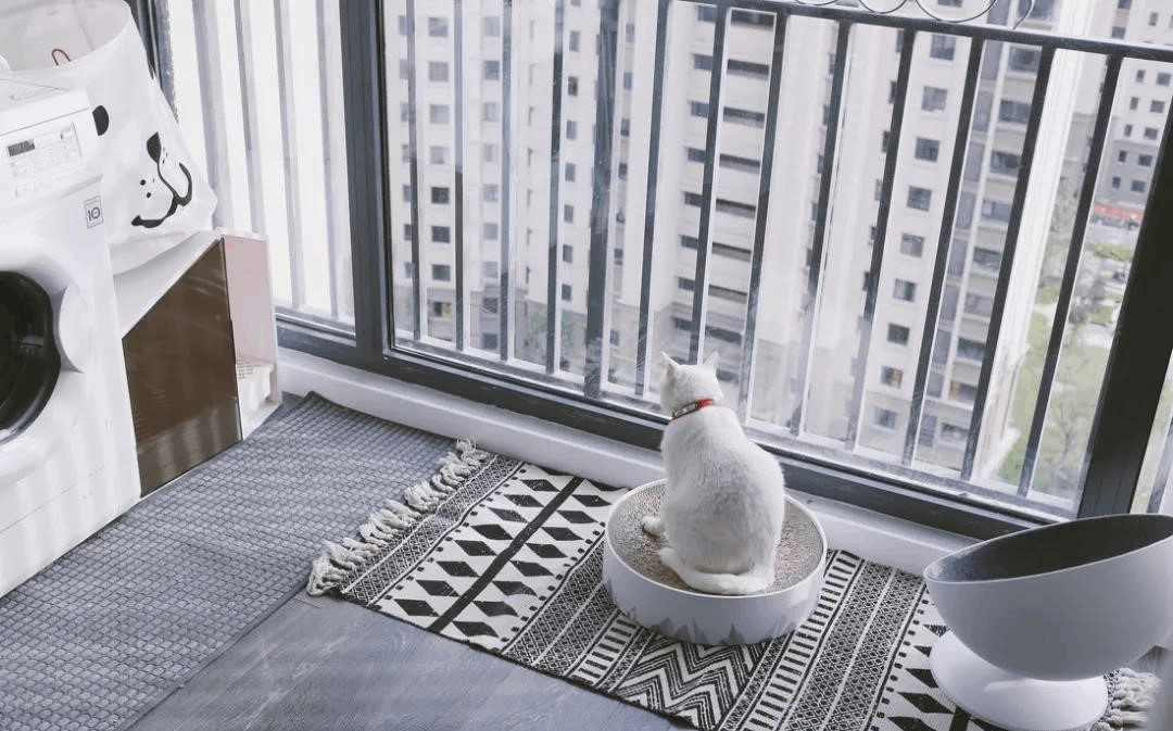 装修技巧 装修技巧