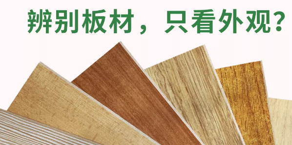 选板材这几个误区你一定要知道！